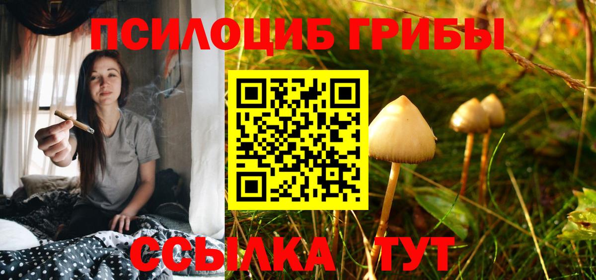Псилоцибиновые грибы ЛСД  Вход с VPN  Галлюциногенные грибы Cubensis  Брянск 